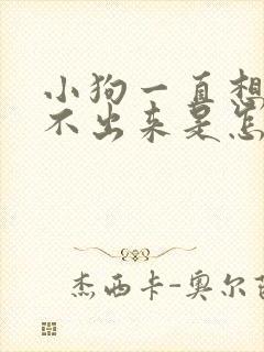 小狗一直想吐吐不出来是怎么回事