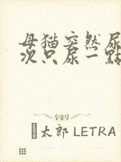 母猫突然尿频每次只尿一点