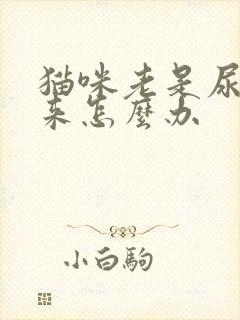 猫咪老是尿不出来怎么办