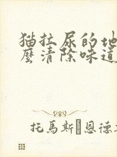 猫拉尿的地方怎么清除味道