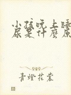 小孩晚上睡觉遗尿是什么原因造成的