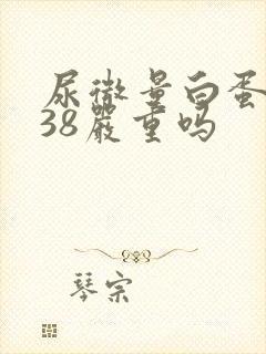 尿微量白蛋白高38严重吗