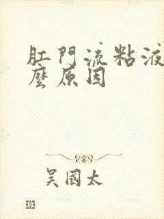 肛门流粘液是什么原因