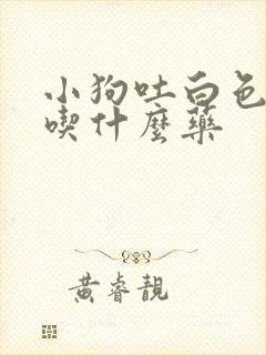 小狗吐白色液体吃什么药