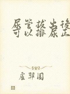 尿管拔出后多久可以排尿正常