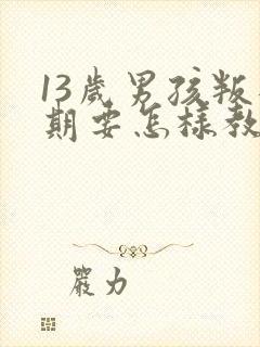 13岁男孩叛逆期要怎样教育或开导呢