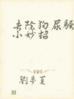 去除狗尿骚味的小妙招