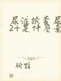 尿液检查尿隐血2+是什么意思