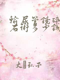 输尿管镜碎石取石术多少钱