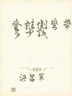 脊椎侧弯带支具多少钱