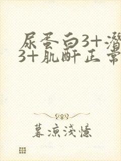 尿蛋白3+潜血3+肌酐正常