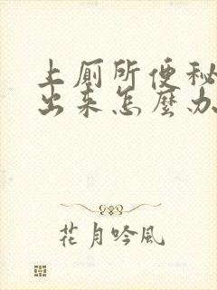 上厕所便秘拉不出来怎么办