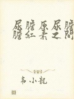 尿胆原尿胆素尿胆红素之间的关系