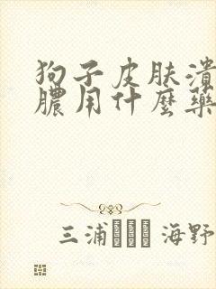 狗子皮肤溃烂流脓用什么药