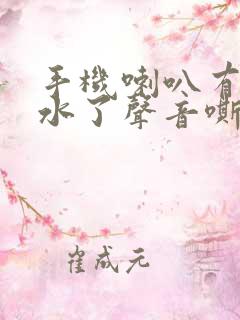 手机喇叭有点进水了声音嘶哑咋办