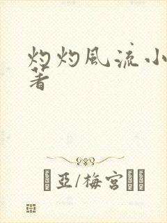 灼灼风流小说原著