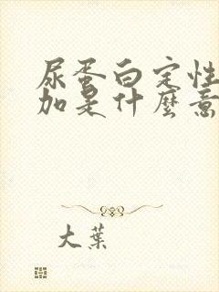 尿蛋白定性两个加是什么意思