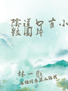 阴道口有小的肉粒图片