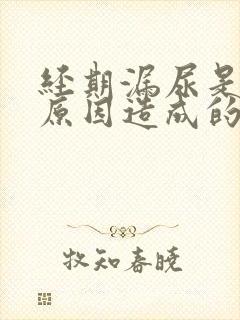 经期漏尿是什么原因造成的