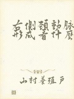 右侧颈动脉斑块形成看什么科