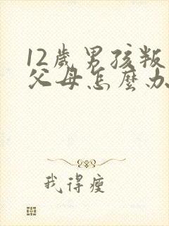 12岁男孩叛逆父母怎么办