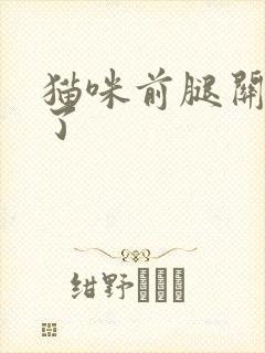 猫咪前腿关节肿了