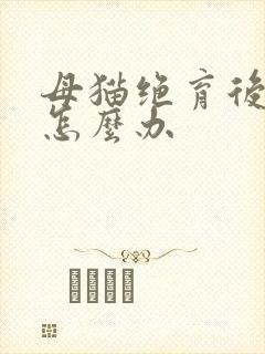 母猫绝育后乱尿怎么办