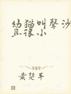 幼猫叫声沙哑而且很小