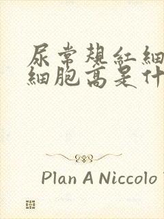 尿常规红细胞白细胞高是什么情况