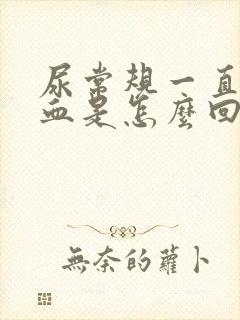 尿常规一直有隐血是怎么回事?