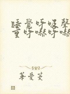 睡觉呼吸声音粗重呼哧呼哧的