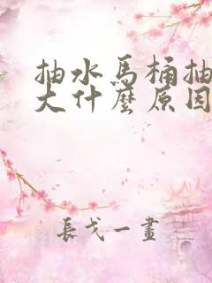 抽水马桶抽力不大什么原因