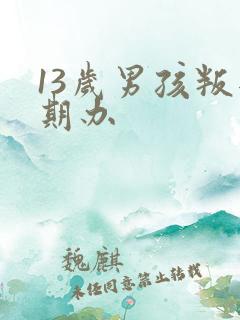 13岁男孩叛逆期办