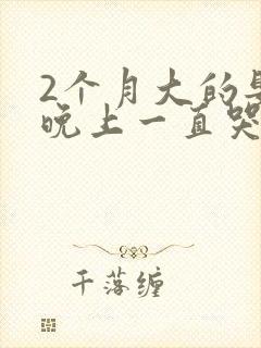 2个月大的婴儿晚上一直哭闹是什么原因