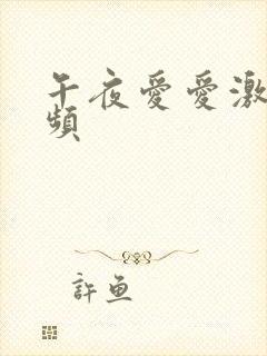 午夜爱爱激情视频