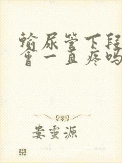 输尿管下段结石会一直疼吗