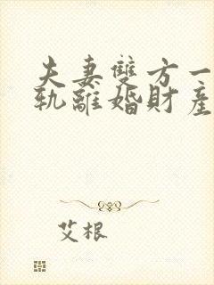 夫妻双方一方出轨离婚财产如何分割