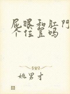 屁眼和肛门是一个位置吗