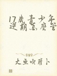 17岁青少年叛逆期怎么管教最合适男孩