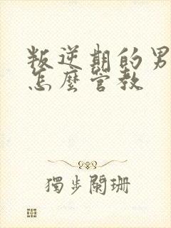 叛逆期的男孩子怎么管教