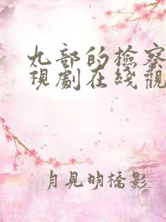 九部的检察官电视剧在线观看免费