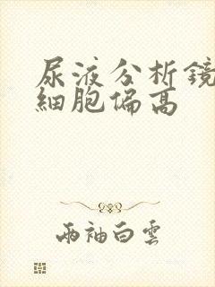 尿液分析镜检白细胞偏高