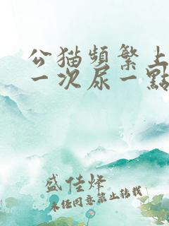 公猫频繁上厕所一次尿一点咋回事