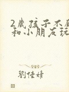 2岁孩子不愿意和小朋友玩怎么回事