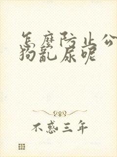 怎么防止公狗闹狗乱尿呢