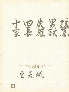 十四岁男孩叛逆家长应该怎样