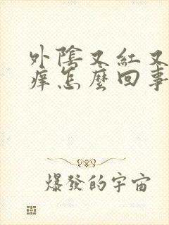 外阴又红又肿又痒怎么回事