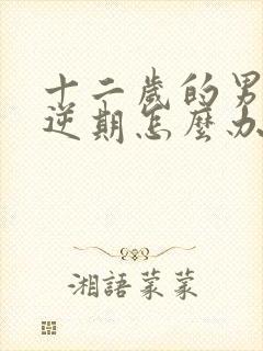 十二岁的男孩叛逆期怎么办