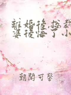 离婚后,总裁老婆后悔了小说