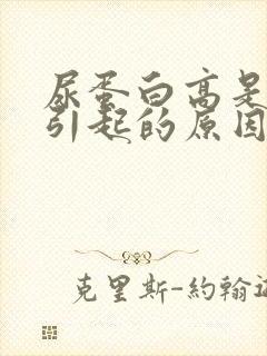 尿蛋白高是怎么引起的原因是什么